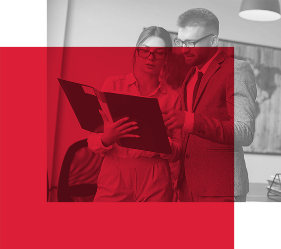 bd-consulting-about-us